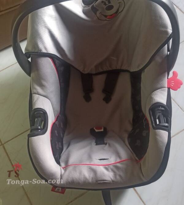 photo 1 de l annonce