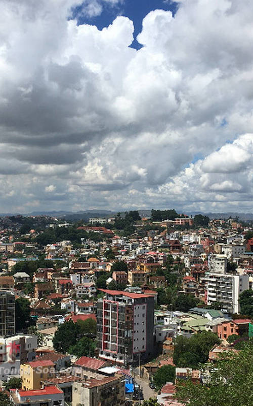 photo 3 de l annonce