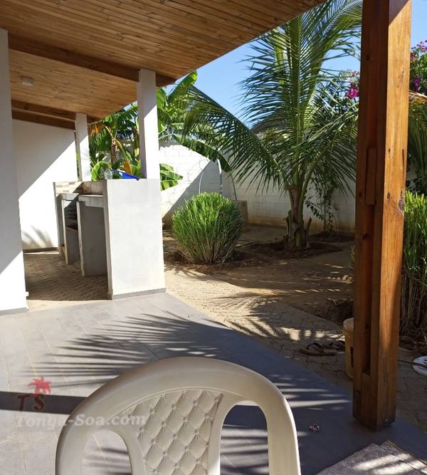 photo 1 de l annonce