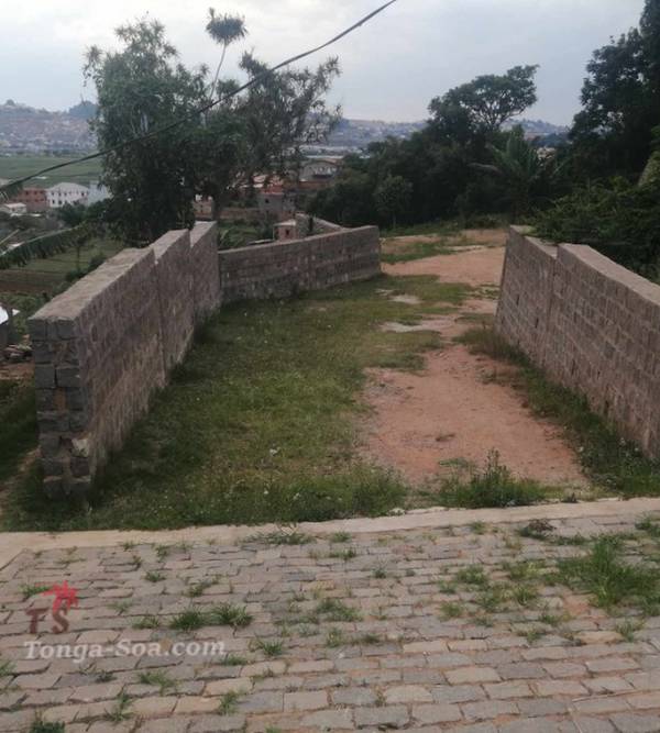 photo 1 de l annonce