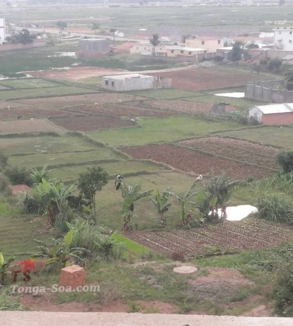 photo 5 de l annonce