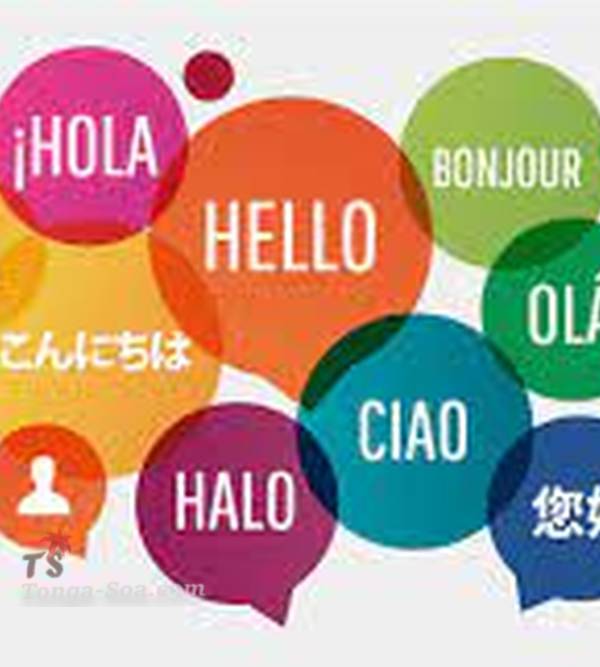 Recherche des expatries français en techniciens superieurs et des...