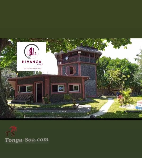 photo 2 de l annonce