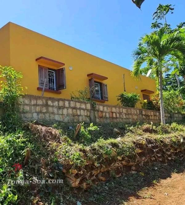 photo 1 de l annonce