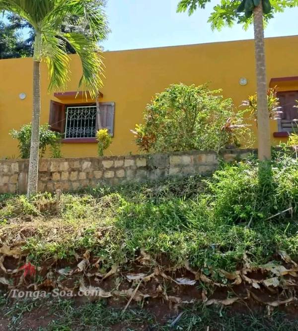 photo 2 de l annonce