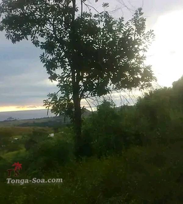 photo 1 de l annonce