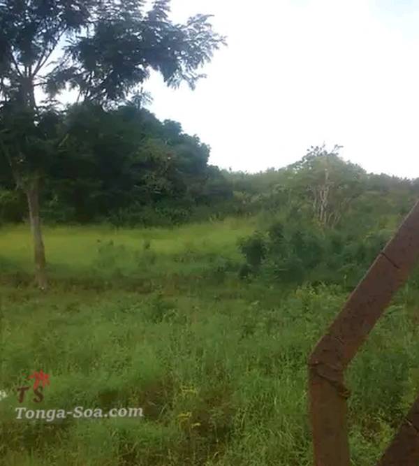 photo 4 de l annonce