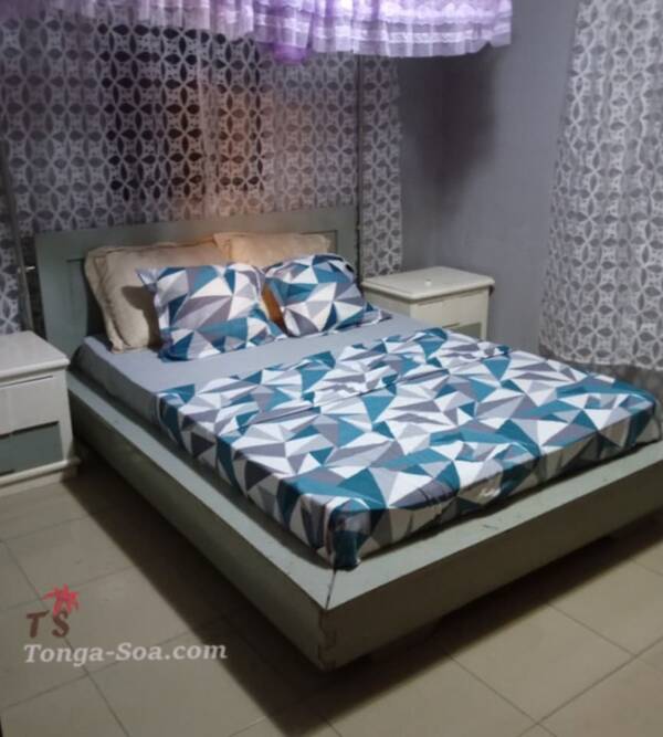 photo 1 de l annonce