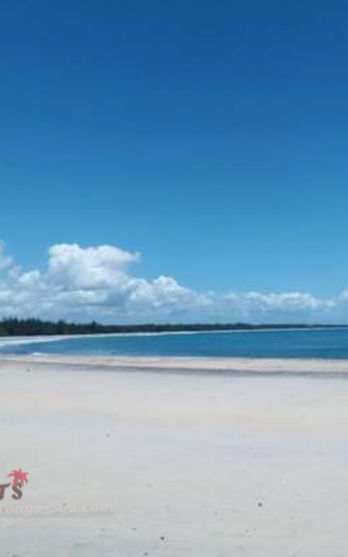 photo 1 de l annonce