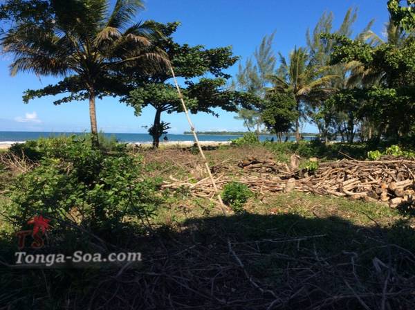 photo 2 de l annonce