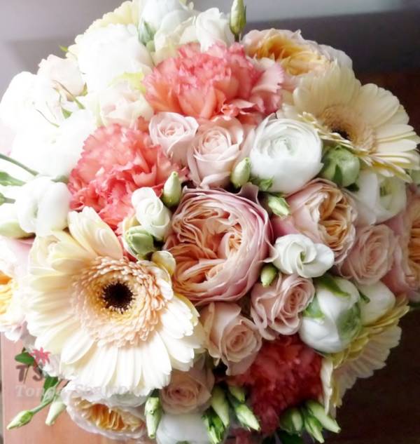 photo 1 de l annonce