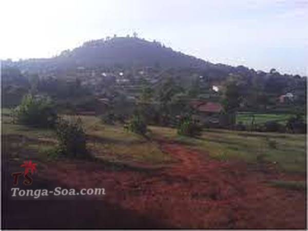 photo 1 de l annonce