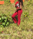 Miniature 3
