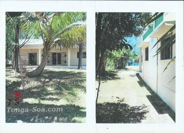 photo 1 de l annonce