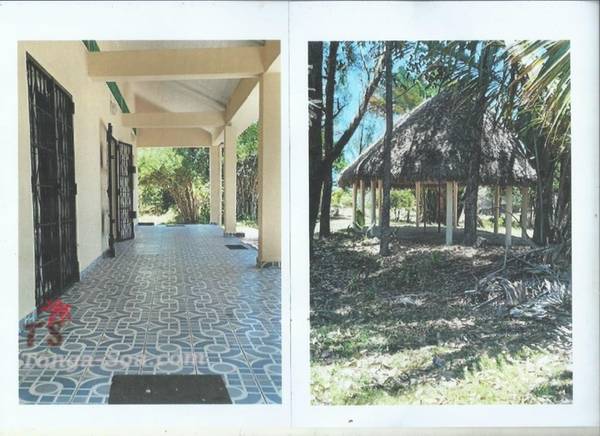 photo 2 de l annonce