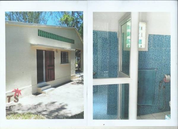 photo 5 de l annonce