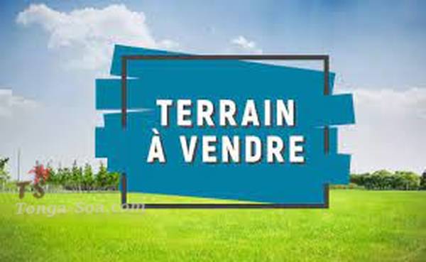 photo 1 de l annonce