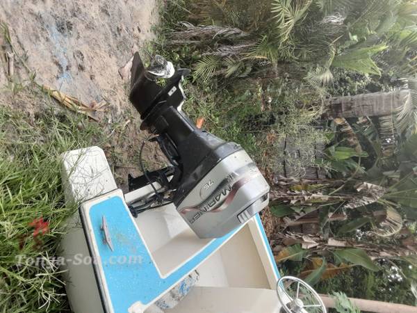 photo 2 de l annonce