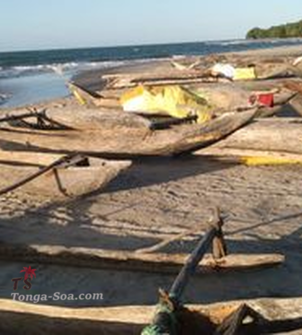 photo 1 de l annonce