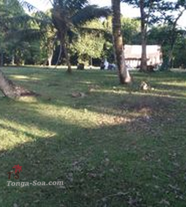 photo 2 de l annonce