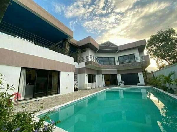 photo 1 de l annonce