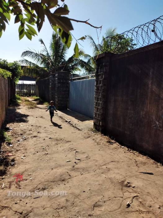 photo 1 de l annonce