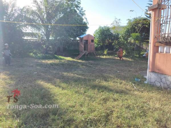 photo 2 de l annonce