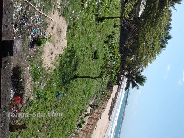 photo 1 de l annonce