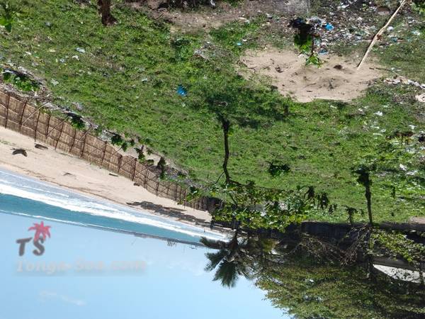 photo 2 de l annonce