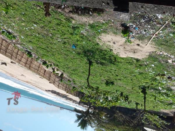 photo 3 de l annonce