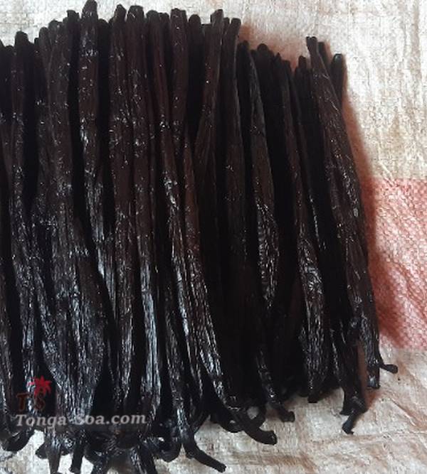 photo 3 de l annonce