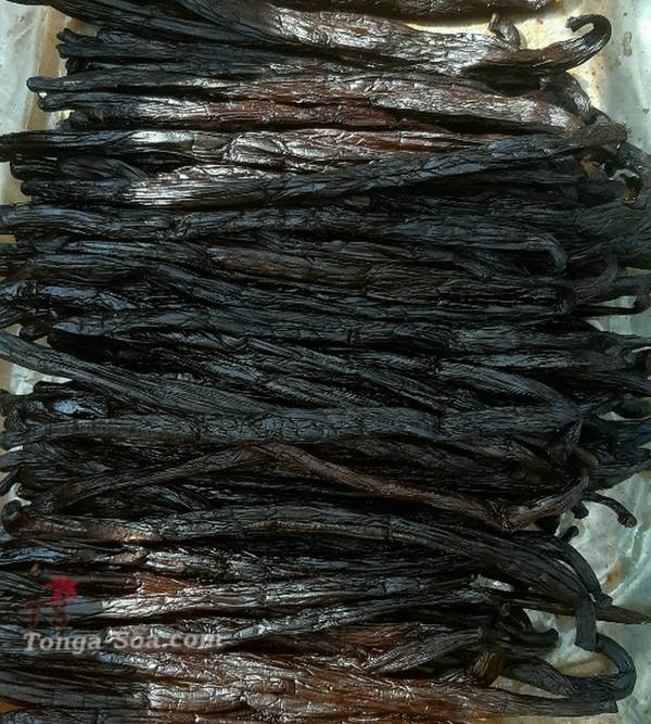 photo 4 de l annonce