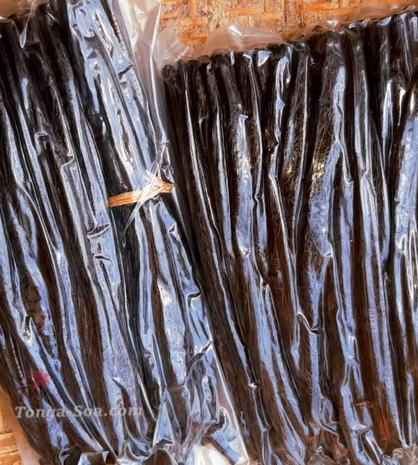 photo 5 de l annonce