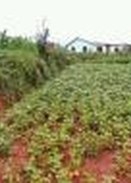 Emploi Madagascar