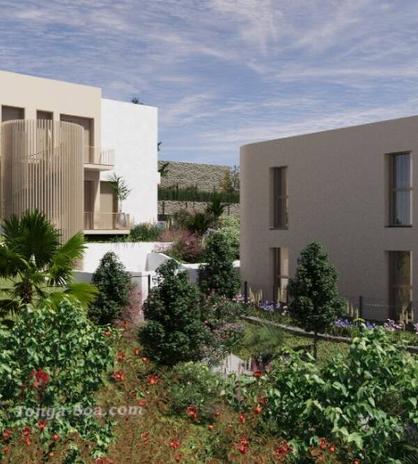 photo 2 de l annonce