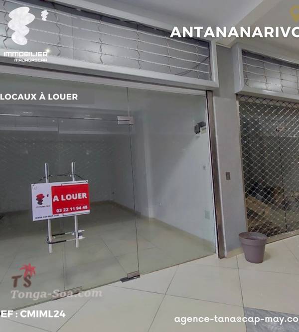 photo 3 de l annonce