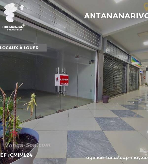 photo 4 de l annonce