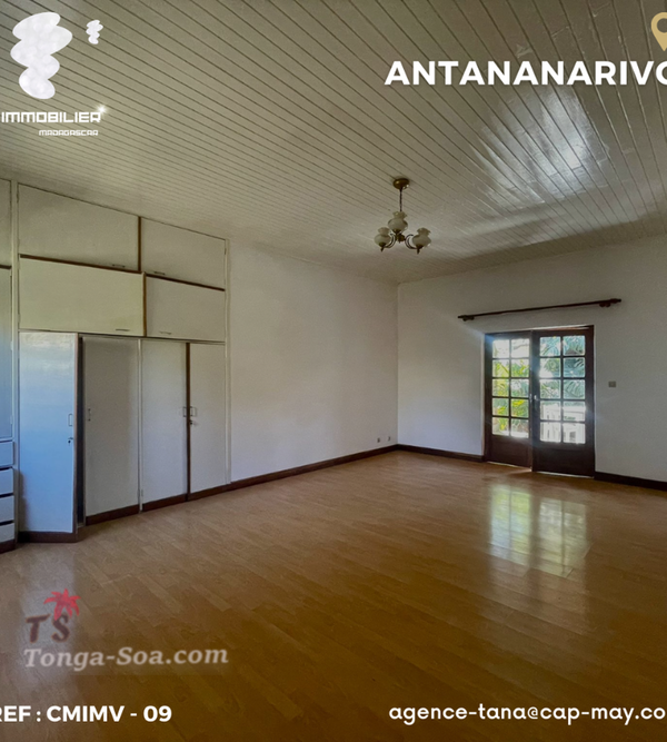 photo 1 de l annonce