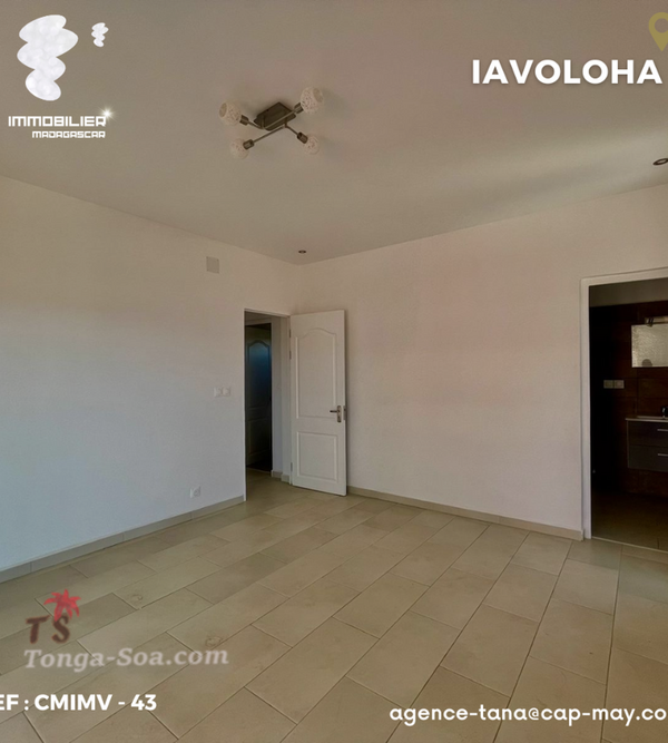 photo 2 de l annonce