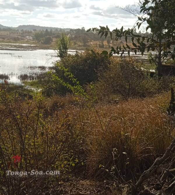 photo 1 de l annonce