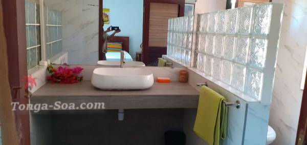 photo 1 de l annonce