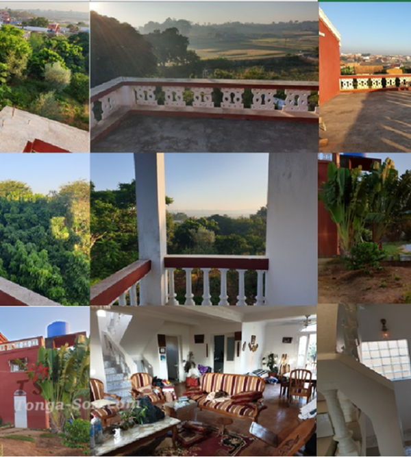 photo 1 de l annonce