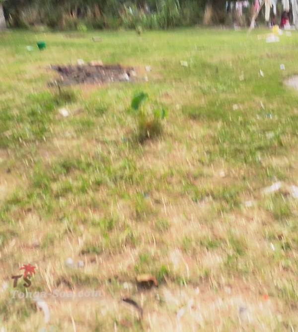 photo 1 de l annonce