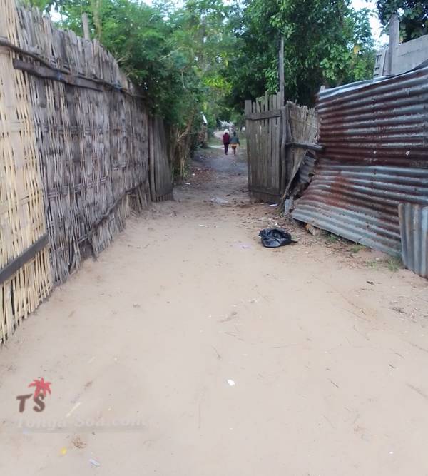 photo 3 de l annonce