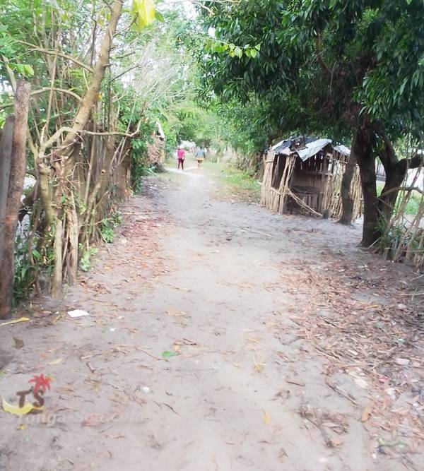 photo 4 de l annonce