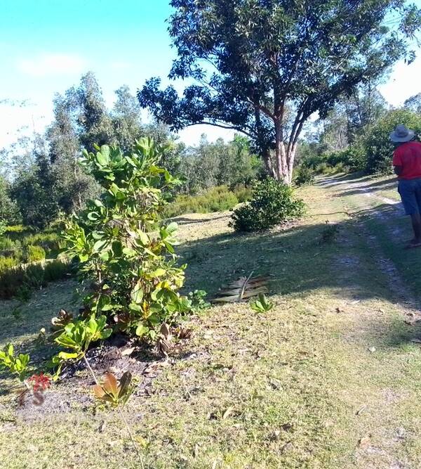 Photo 3