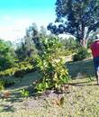 Miniature 4