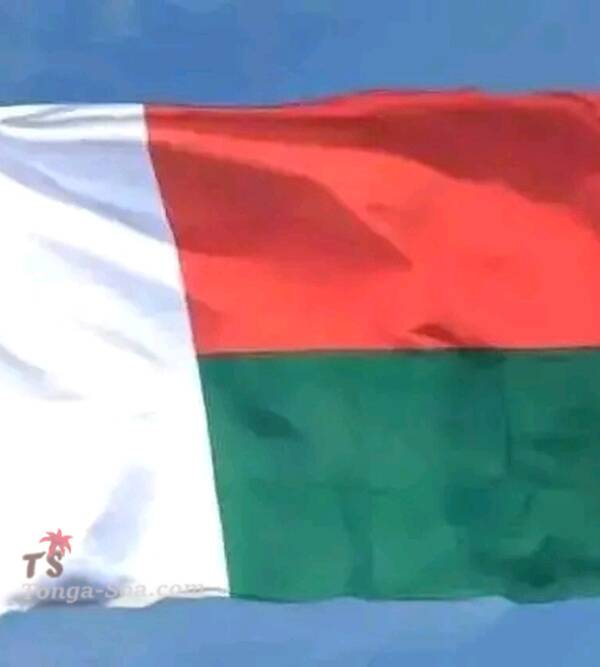 photo 1 de l annonce