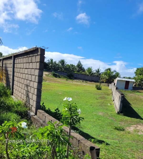 photo 1 de l annonce