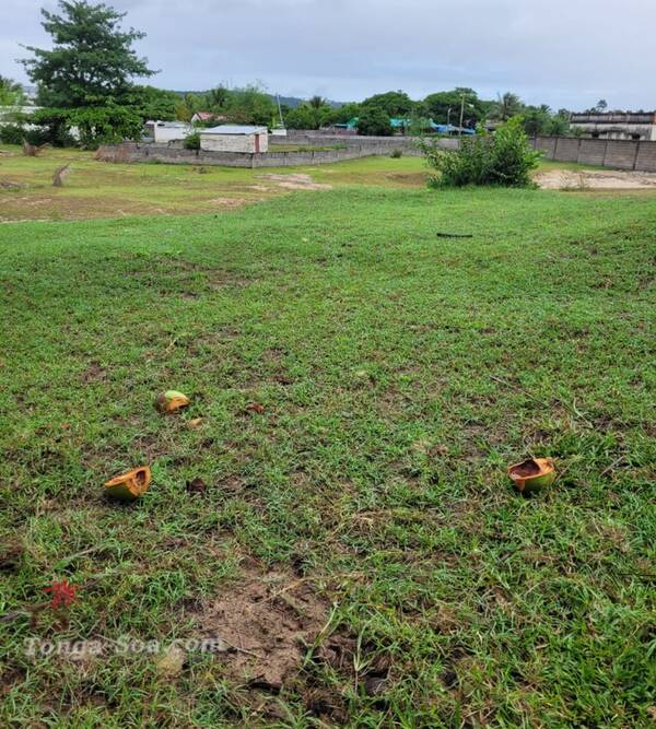 photo 2 de l annonce